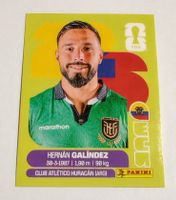 Hernan Galindez - ECU 2