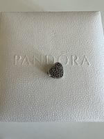 Pandora Charm