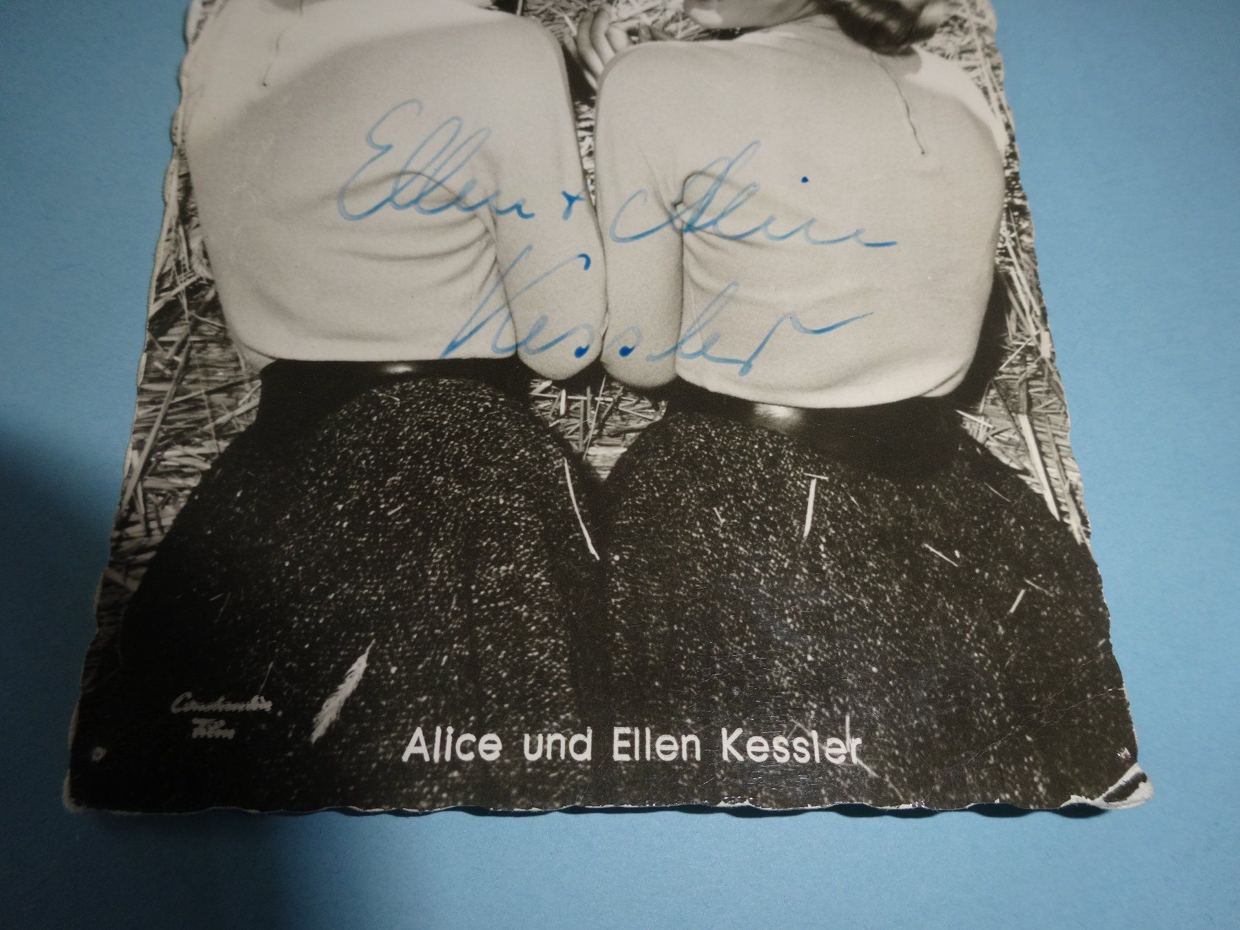 Autografi: Autogrammkarte Alice und Ellen Kessler – Usato da Neerach venduto da jenny062 1