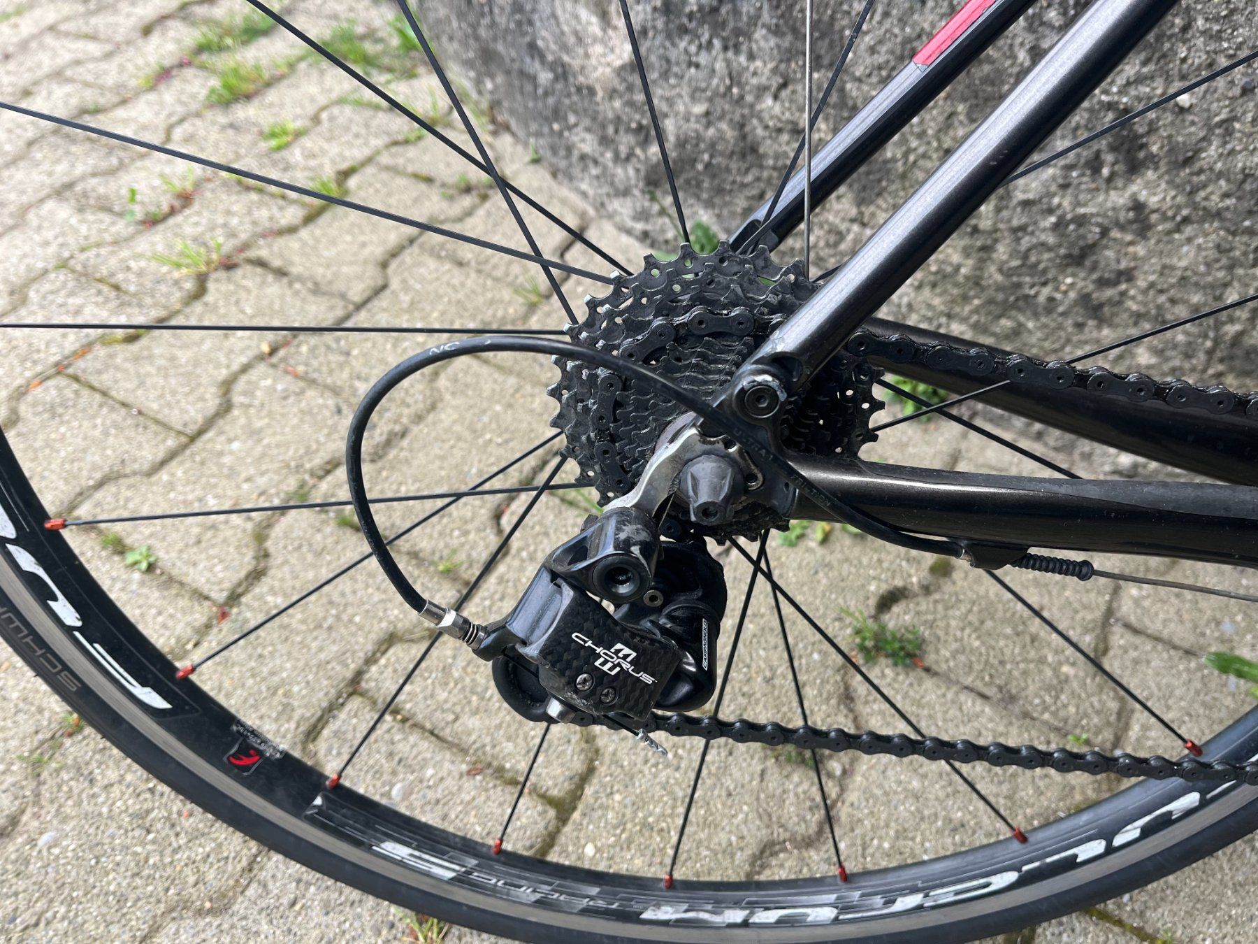 Biciclette: Rennvelo Schor, Carbon – Usato da Dintikon venduto da Redgar58 4