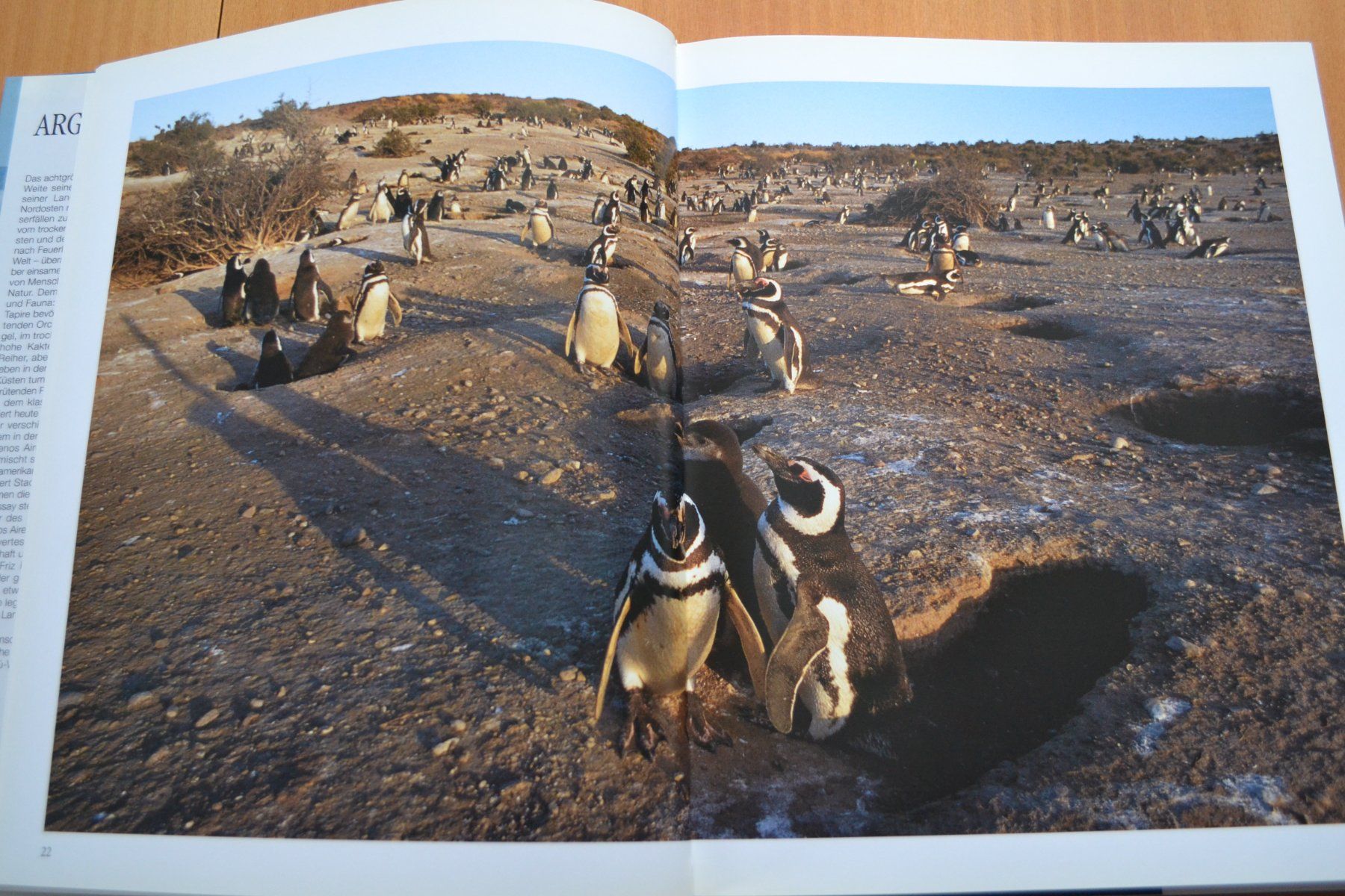 Libri: Buch Argentinien 160 Seiten – Usato da Beinwil am See venduto da kajak55 1