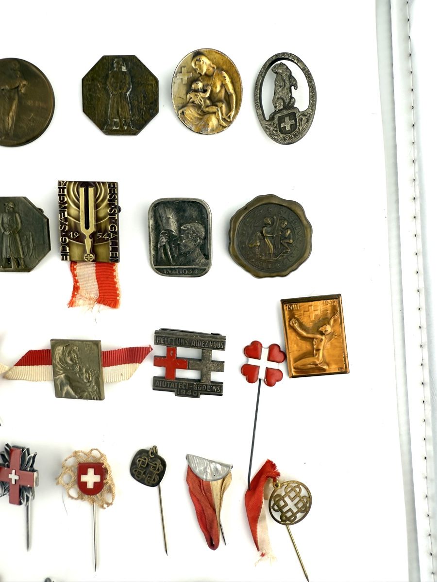 Swiss Placchette & Badge: Sammlung historischer Schweizer Festabzeichen ab 1920 – Usato da Zürich venduto da Geniuss 3
