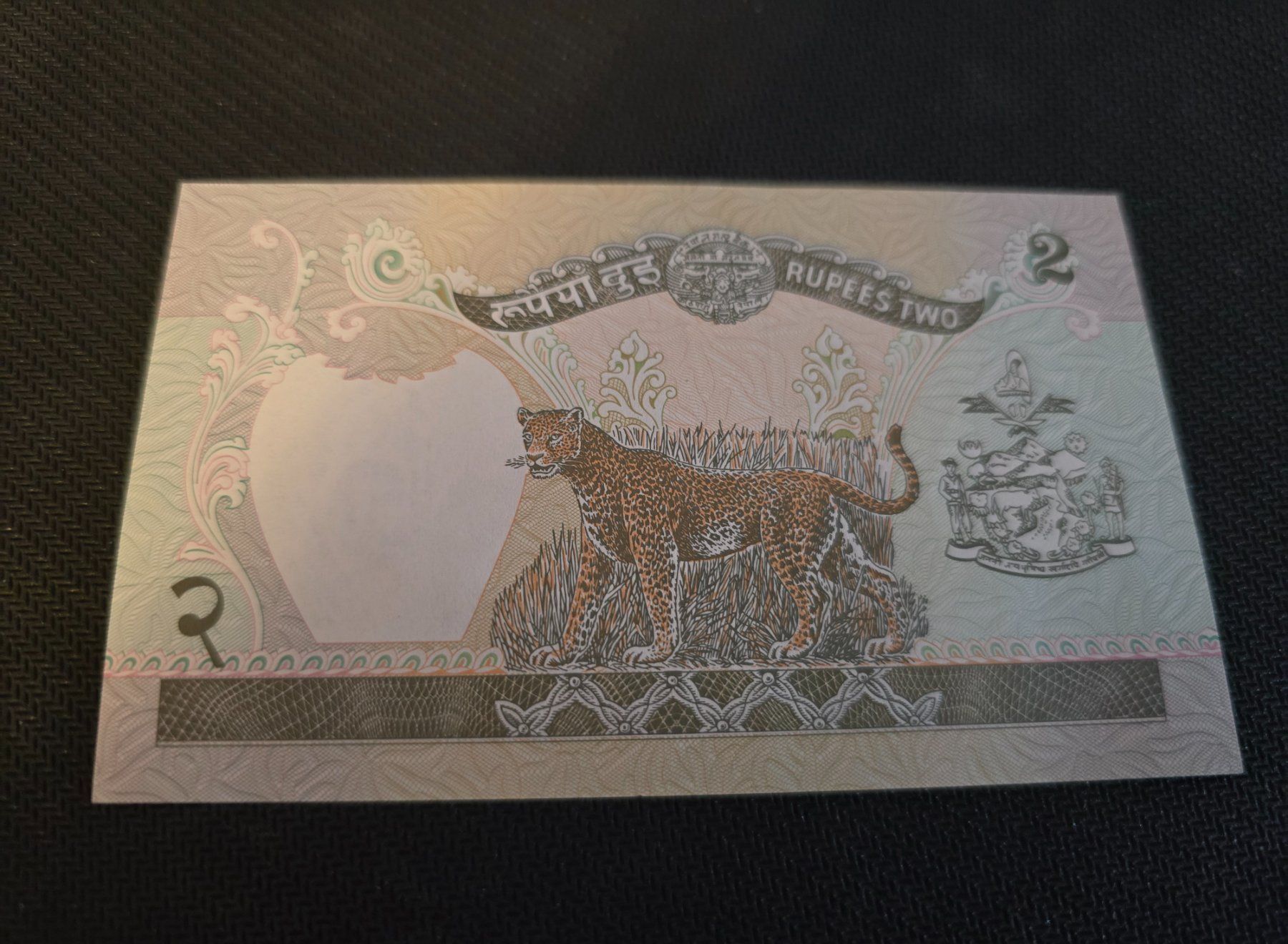 Banknoten: Billet Nepal – Neu (gemäss Beschreibung) aus Petit-Lancy von Minnie26 1