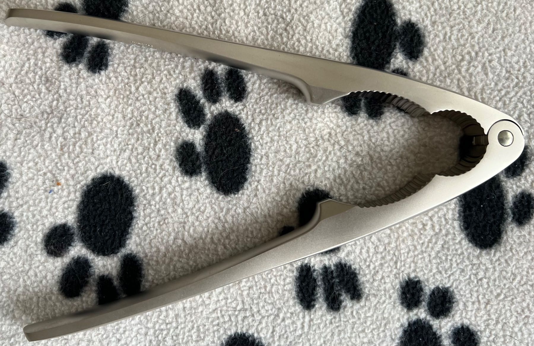 Elettrodomestici da cucina: Nussknacker mit Schatulle – Nuovo e nell'imballaggio originale da Adliswil venduto da Myxin 4