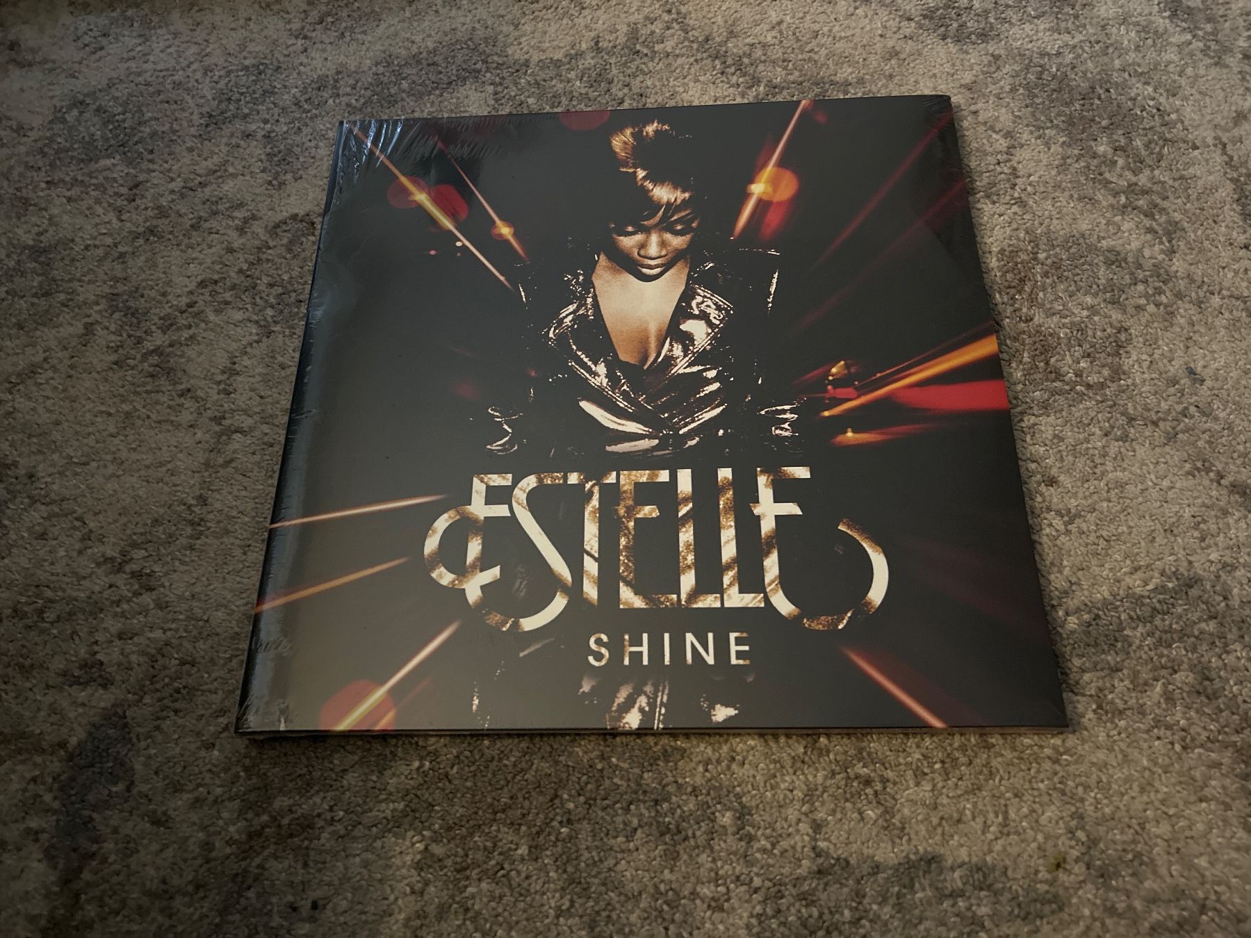 Dischi in vinile: Erstelle - seine, 2008, 2 Lps – Usato da Thalwil venduto da eng_yys6