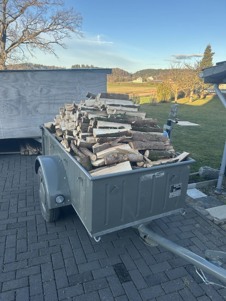 Bzs Rimorchi: Robuster Zivilschutzanhänger für Auto oder Traktor, – Usato da St.Silvester venduto da 1736frosch1962 2