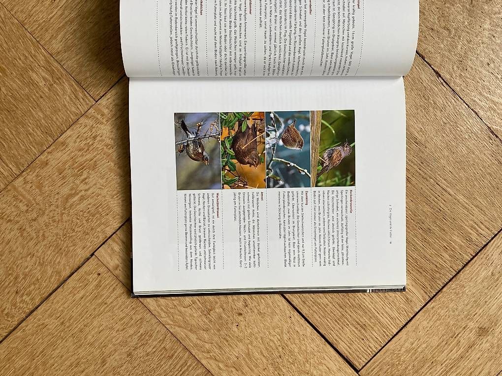 Vogelhäuser: Buch: Am Futterhaus – Gebraucht aus Bern von tan_2rrh 2