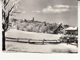 Trogen 1966