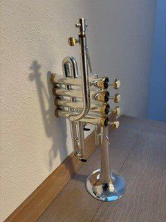 Thomann Strumenti musicali: Piccolo Trumpet Thomann TR-5400S – Usato da Locarno venduto da Mulg 3