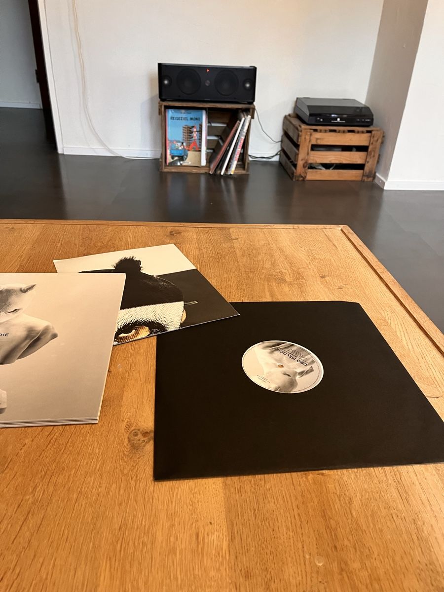 Dischi in vinile: Cro Melodie Vinyl – Usato da Basel venduto da 4nders0n 2