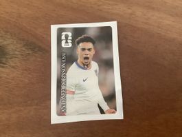 CC Sticker Antonee Robinson