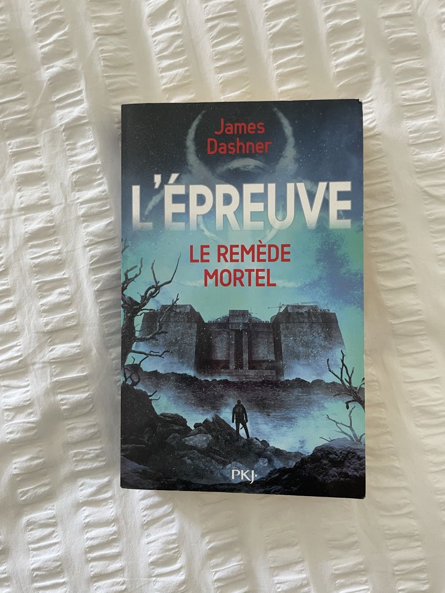 Livres: Labyrinthe : tome 3 – D'occasion à Hauterive NE par Liianna___