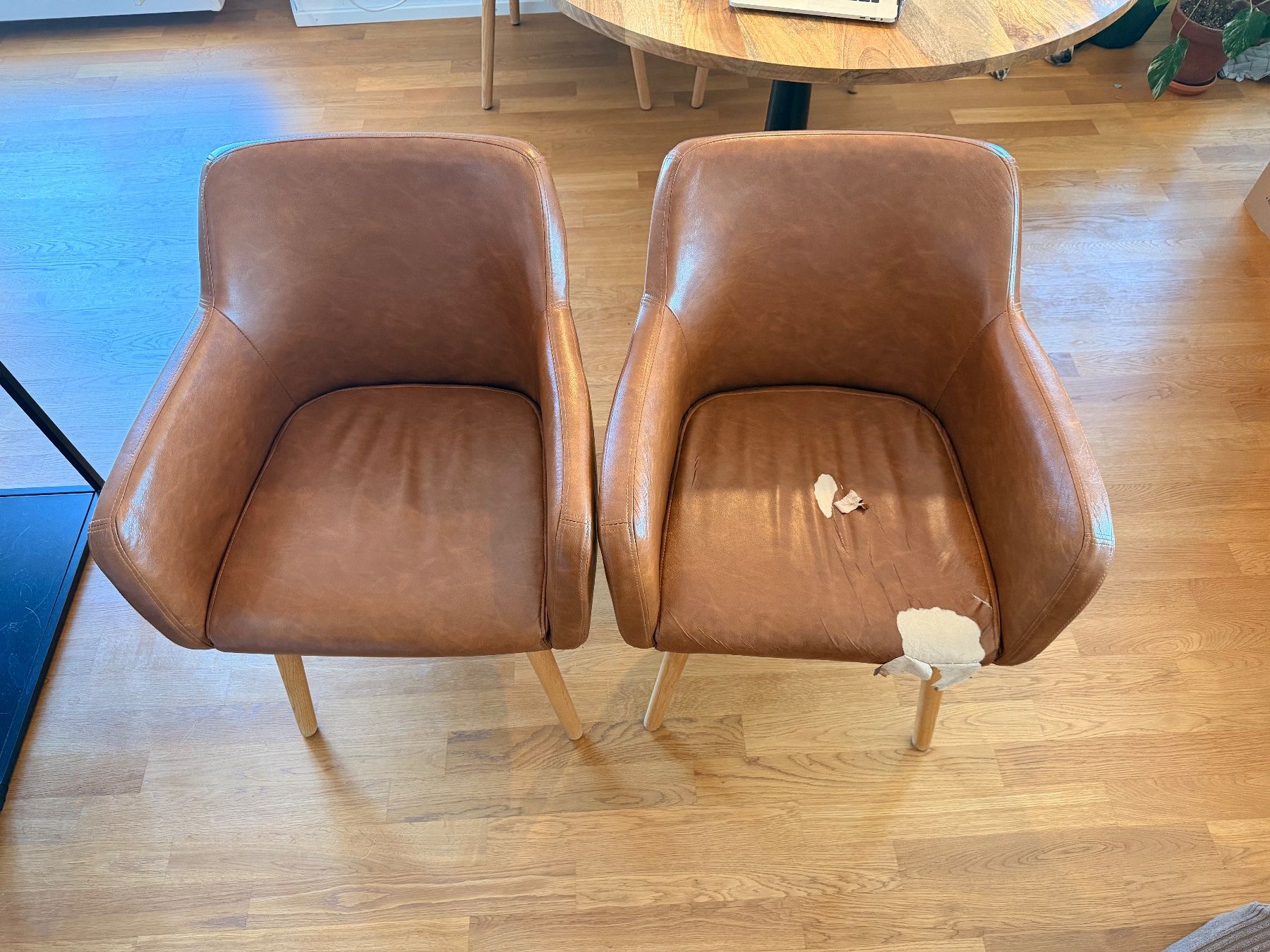 Chaises: 6x Esszimmerstuhl – D'occasion à Unterohringen par sha_5myf