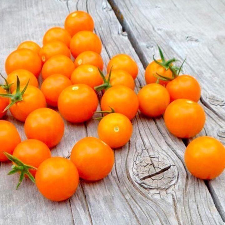 Piante & sementi: 50 Samen Balkontomate VENUS Orange – Nuovo (secondo la descrizione) da Ehrendingen venduto da VerveinaSamen 4