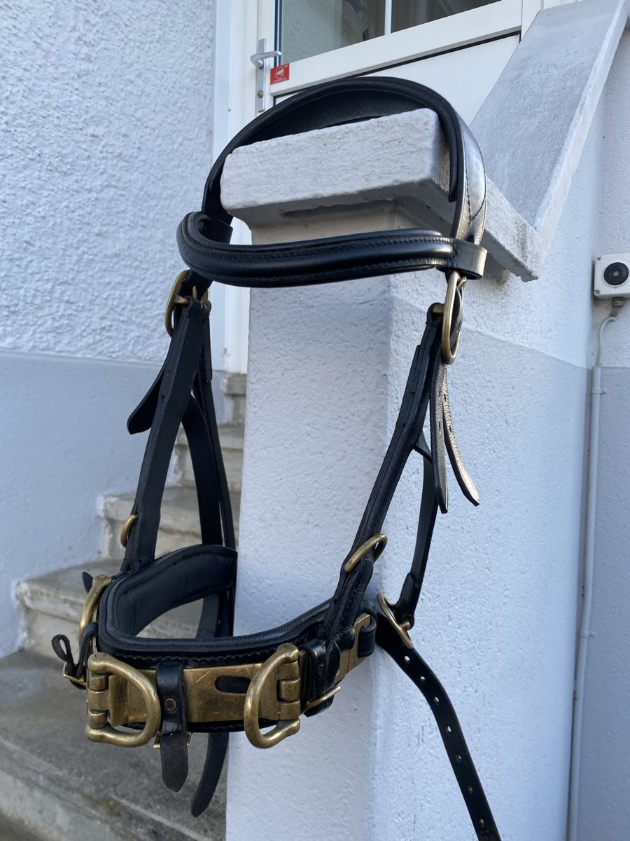 Briglie & Cavezze: Kappzaum – Usato da Wohlen AG venduto da bey_jcy5 2
