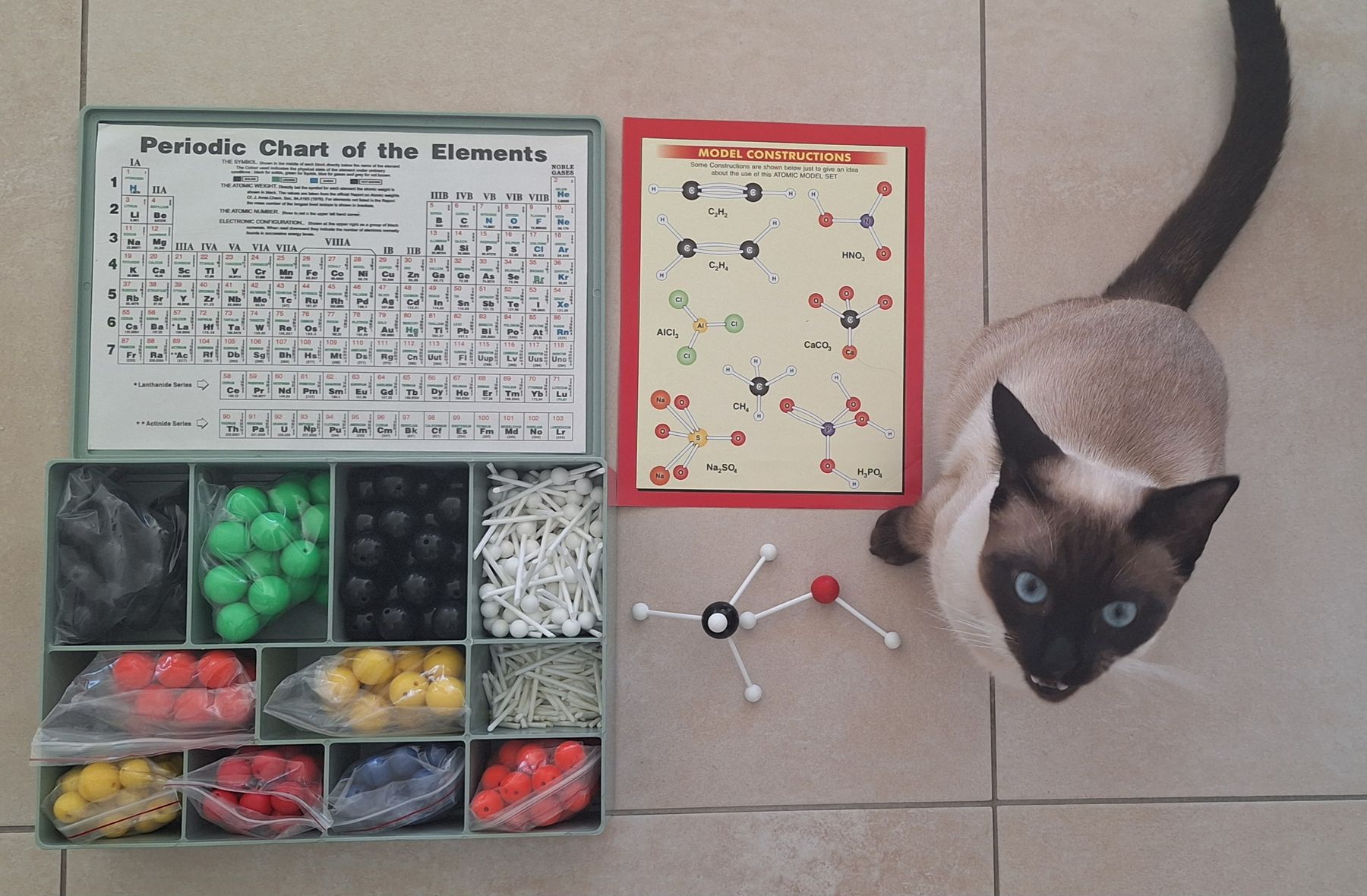 Kit di costruzioni: Chemistry Molecular Model Set - Perfect for Back to School! – Usato da Zürich venduto da ema_zb95 1