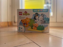 LEGO® DUPLO® 10972 Wilde Tiere: Pinguine & Löwen - Neu