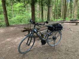 E-Bike Pegasus Premio E8 grau guter Zustand gebraucht