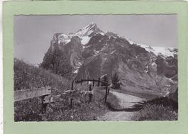 Wetterhorn bei Grindelwald