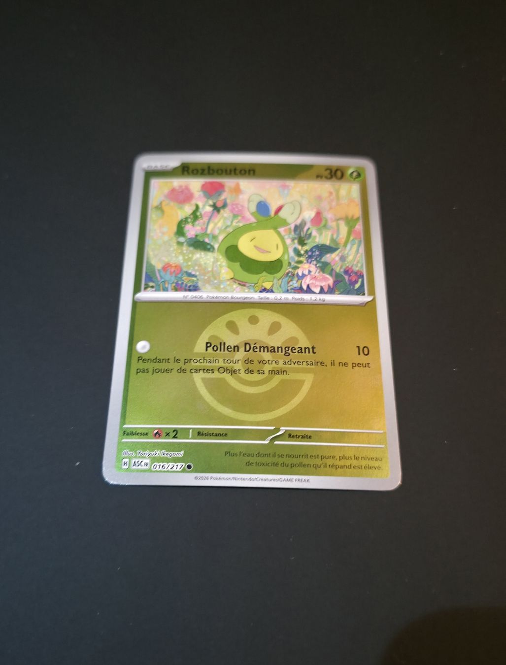 Pokémon Carte collezionabili: Asc 016 Reverse Pokeball  – Nuovo (secondo la descrizione) da Le Lignon venduto da Nathium