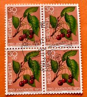 Nr.J 245 Pro Juventute GESTEMPELT Heiden 1973 