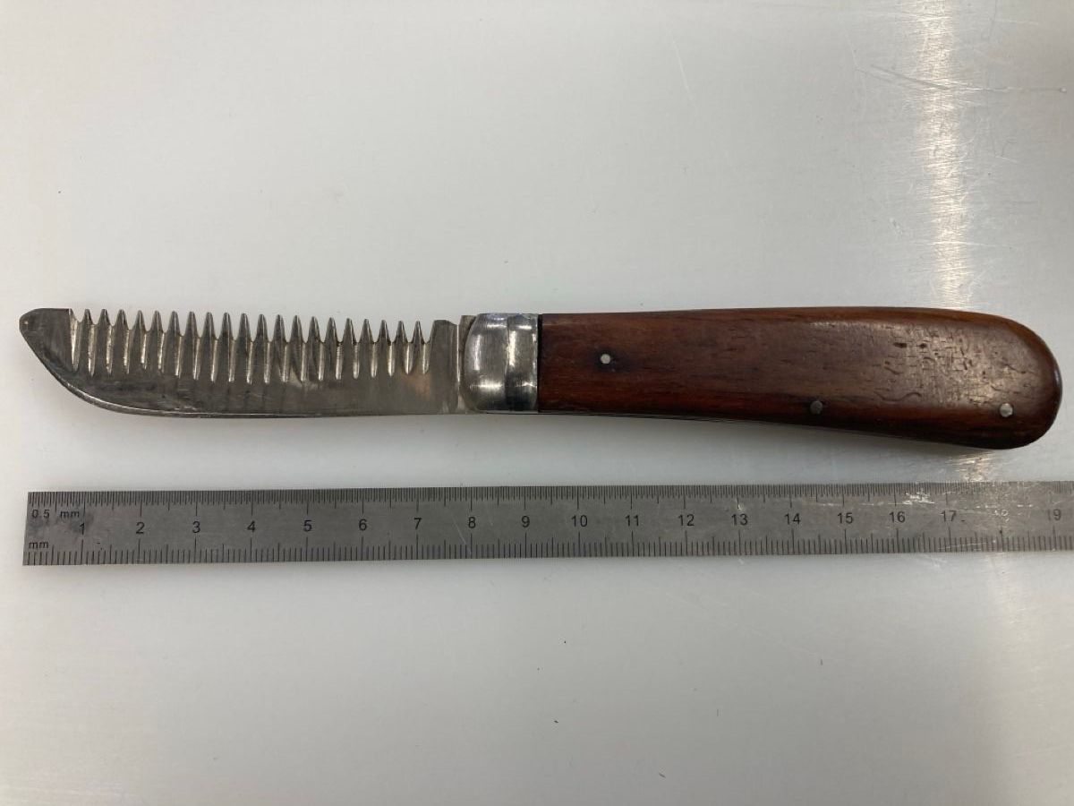 Coltelli tascabile: Sackmesser – Nuovo (secondo la descrizione) da Krauchthal venduto da colligio 1