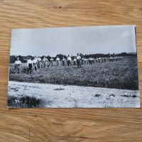 Carte Postale Militär Militaire