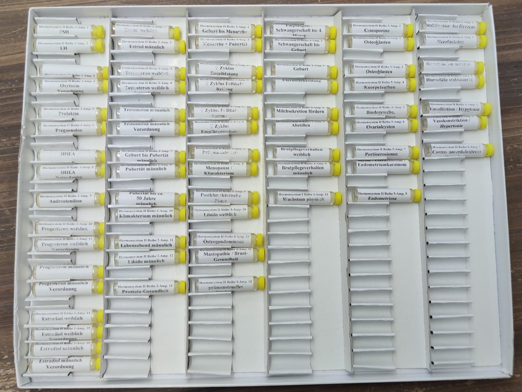 Attrezzature mediche: 2 Keymer Testkästen "Hormonsystem I + II" Bioresonanz/EAV – Usato da Eiken venduto da alipanther01 3