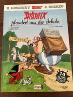 Asterix plaudert aus der Schule