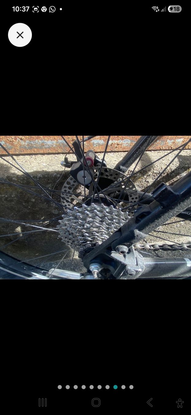 Kona Biciclette: kona minxy velo – Difettoso da Bussnang venduto da Mk5power 6