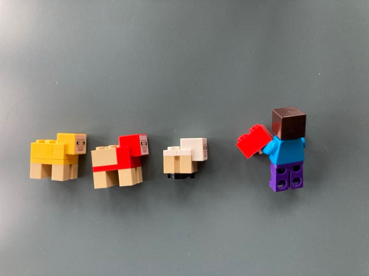 Lego Kit di costruzioni: Lego Minecraft Das Schaf  21153 – Usato da Bergdietikon venduto da Ricardola 4
