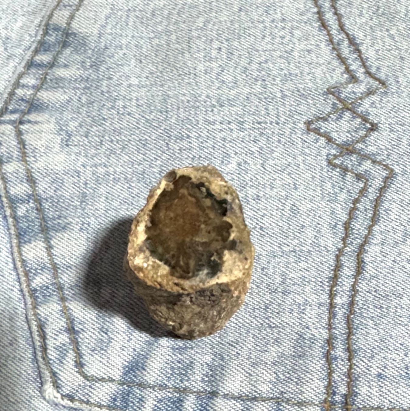 Fossili: versteinertes HOLZ    lässiges Einzelstück        NATURE – Nuovo e nell'imballaggio originale da Leuggern venduto da gemshow 5