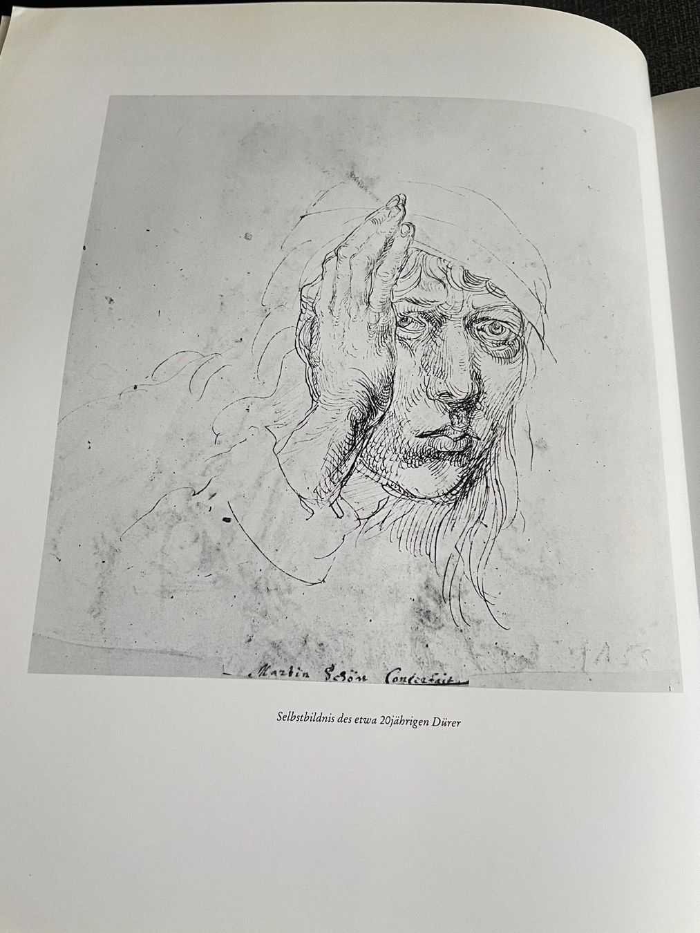 Libri: Libro sull’opera di Albrecht Dürer – Usato da Breganzona venduto da BlueBlue 9
