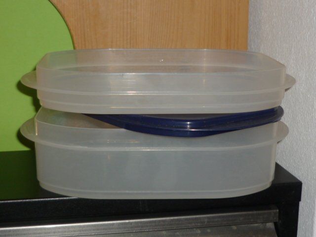 Tupperware Contenitori & Simili: TUPPERWARE FÜR AUFSCHNIT UND KÄSE – Usato da St.Gallen venduto da Anso 4