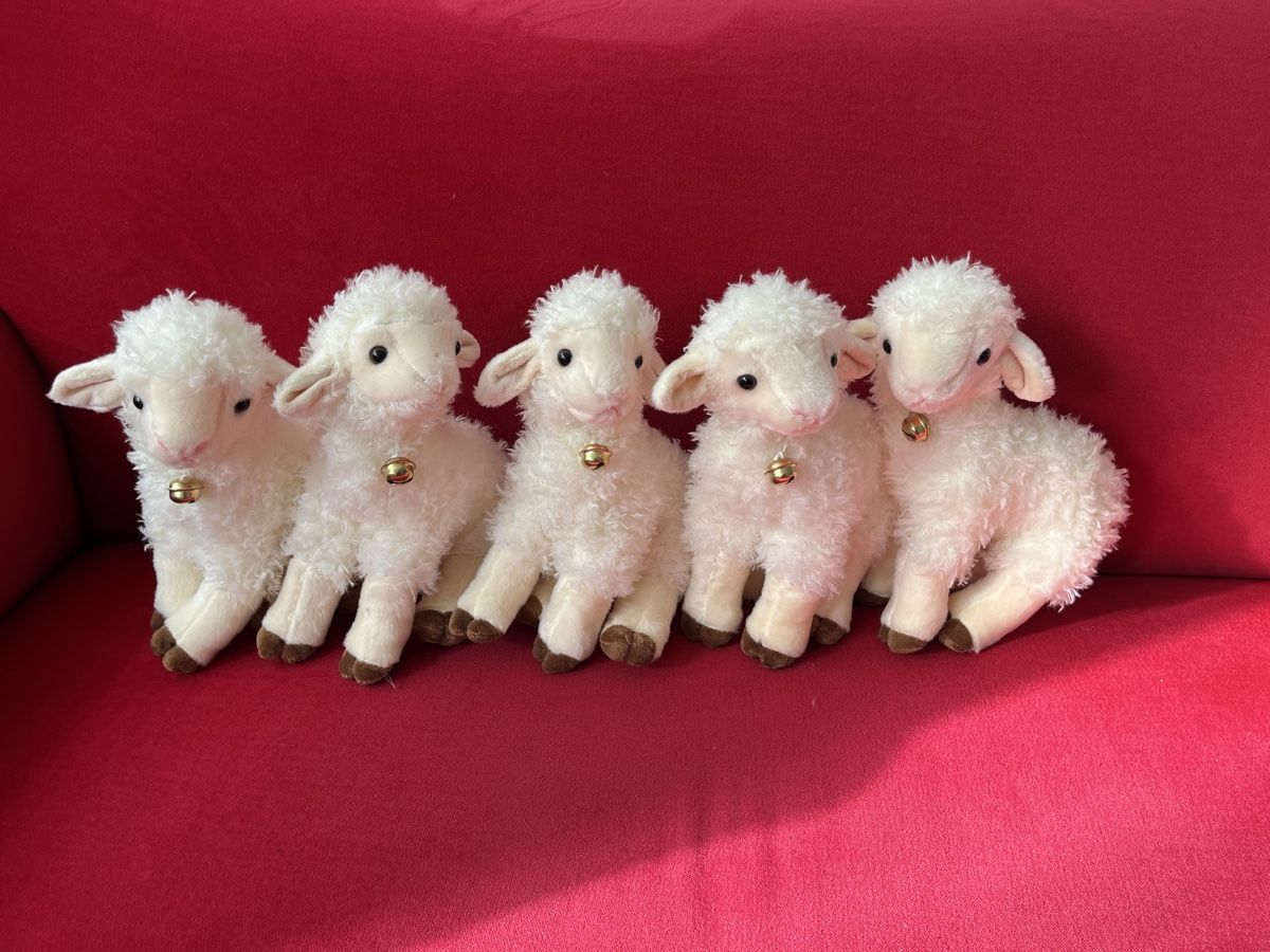 Tutte le decorazioni: 5 kuschelige Oster-Lämmchen – Nuovo (secondo la descrizione) da Bolligen venduto da Vroni23