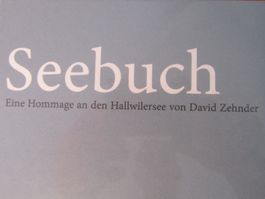 Seebuch,  Eine Hommage an den Hallwilersee von David Zehnder