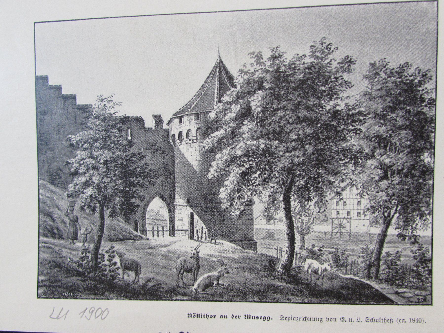 Stiche: Vierwaldstättersee,19.Jh. – Gebraucht aus Walchwil von Shells1 3