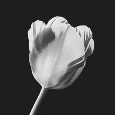 Profile image of jur_xdh9