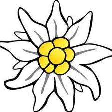 Profile image of omsa