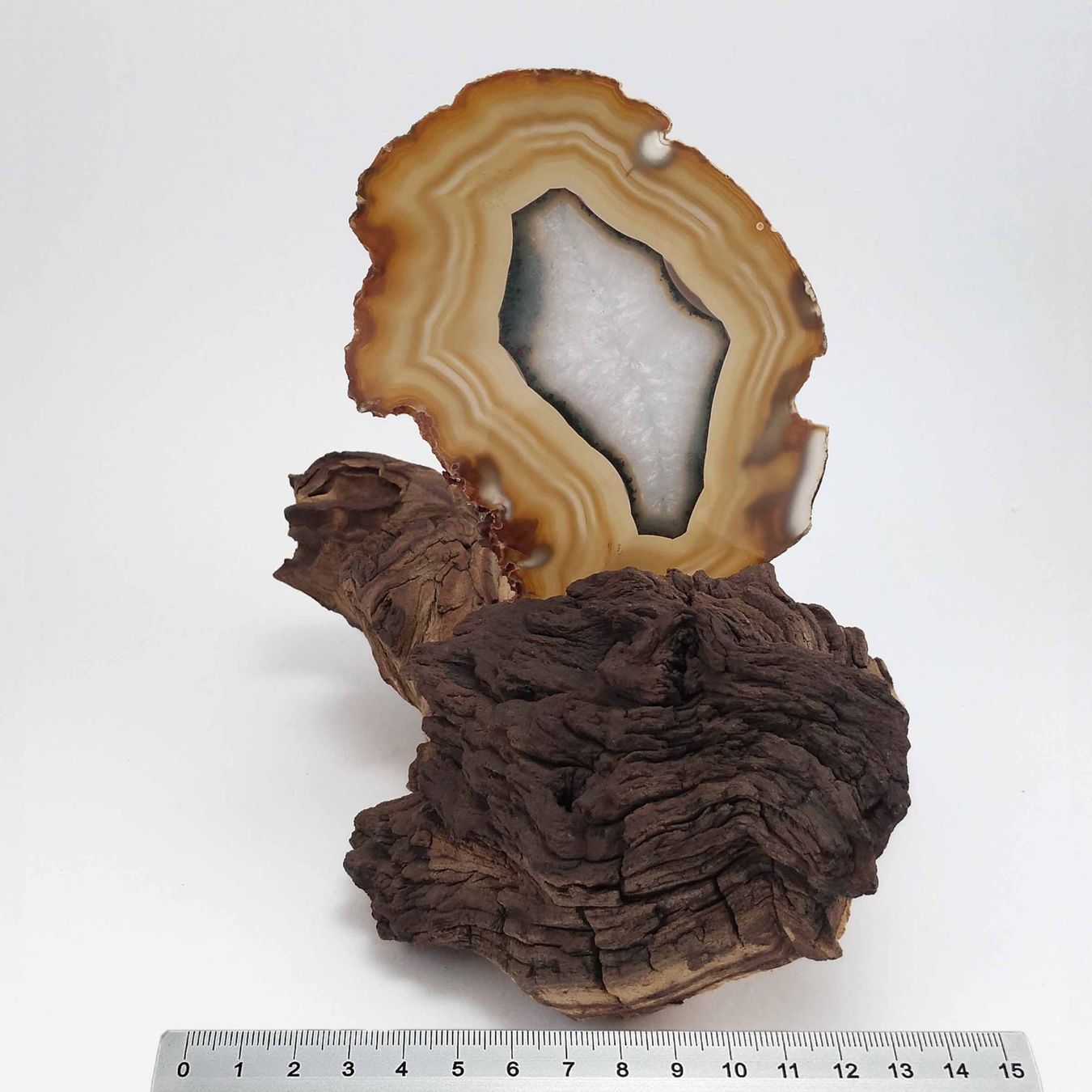 Minerali & Pietre curative: Achatscheibe auf Holz 15cm – Nuovo e nell'imballaggio originale da Meilen venduto da StoneGarden 3
