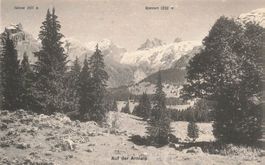 Auf der arnialp