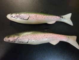 2 Truites arc-en-ciel Renosky 10 cm