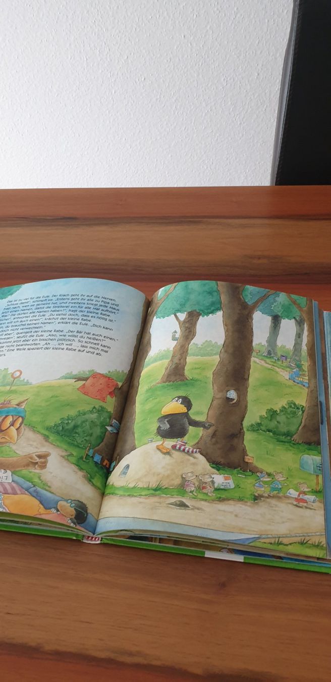 Libri: DAS GROSSE BUCH vom kleine Raben Socken – Usato da Steinhausen venduto da pinu09 4