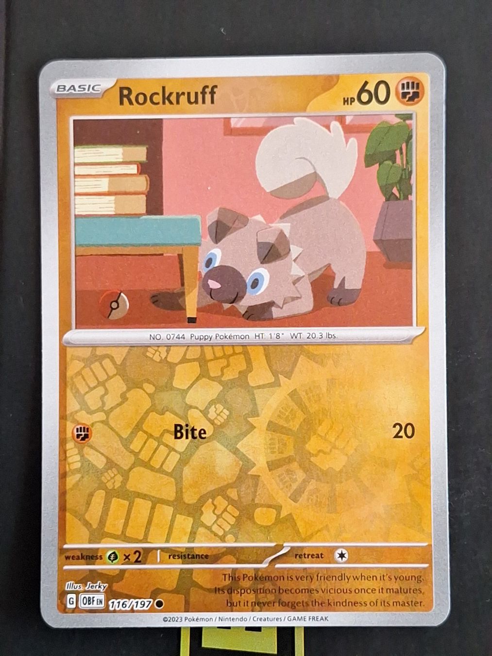 Pokémon Carte collezionabili: Rockruff - Pokemon Reverse Holo Obsidian Flames – Usato da Altstätten SG venduto da GGsGameshop
