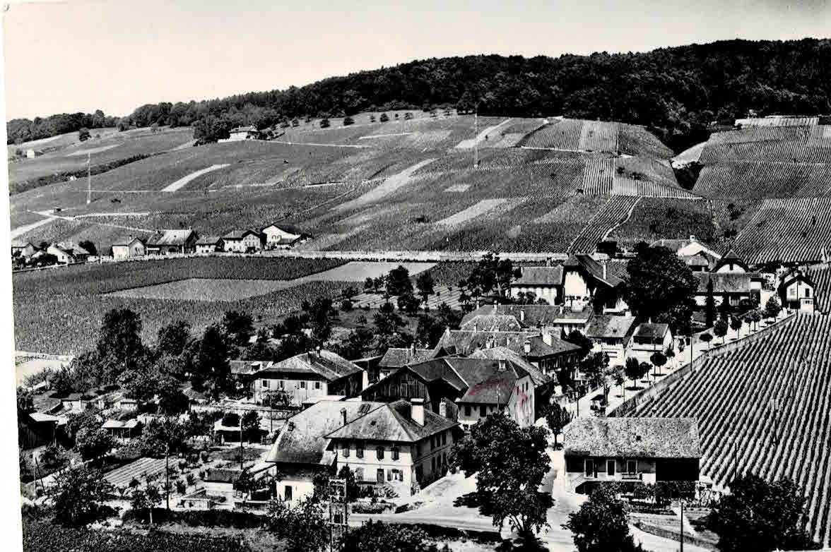 Cartoline postali: Luins   Dorfansicht – Usato da Sulz AG venduto da Oberdanne8