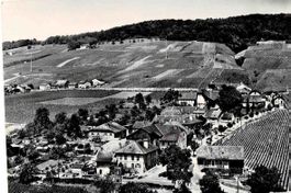 Luins   Dorfansicht