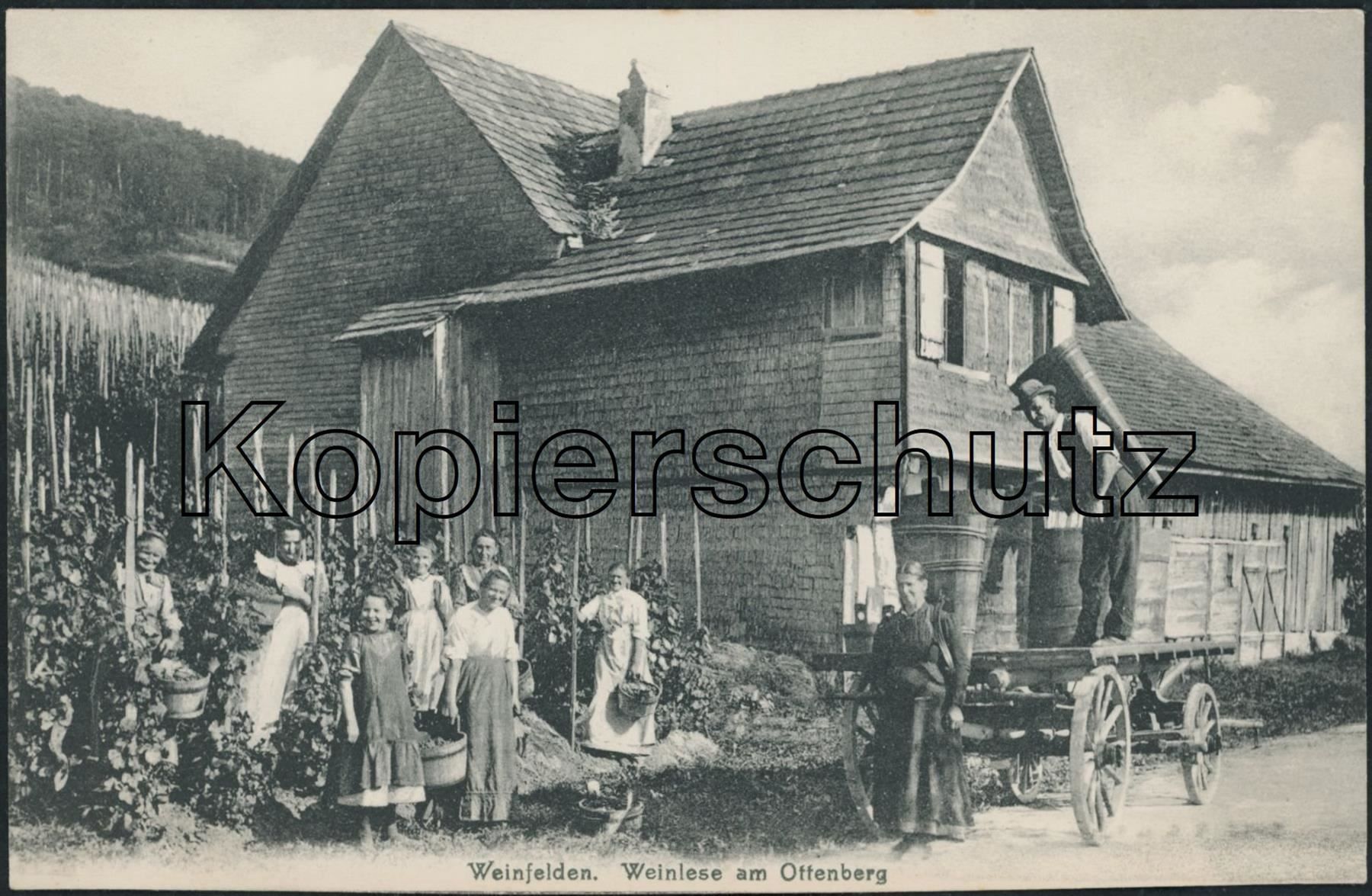 Poster & Bilder: TG Weinfelden - Landwirtschaft - Wein – Gebraucht aus Schindellegi von Jonathan77