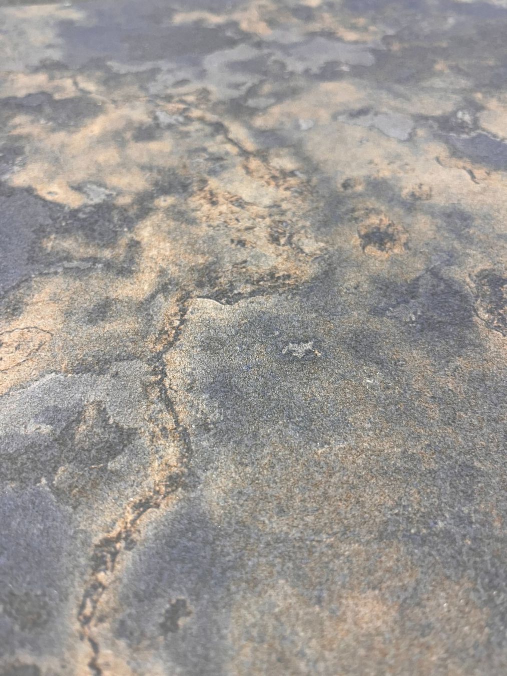 Rivestimenti per pavimenti: Feinsteinzeug Millenium 29.5x29.5 (Total ca. 208m2) – Nuovo e nell'imballaggio originale da Bichelsee venduto da thoro-plattenhandel 2