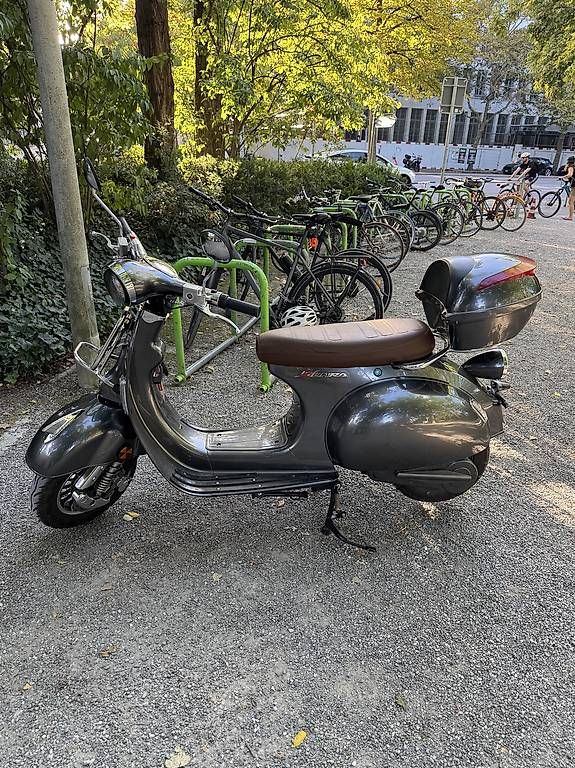 Scooter: Sunra Ronic E-Pedelec / E-Roller  nur 531km – Usato da Zürich venduto da pfu_v5ps 3