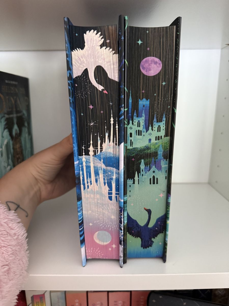 Libri: Fairyloot A feather so black & A crown so silver – Nuovo (secondo la descrizione) da Netstal venduto da Claudia.gl 2